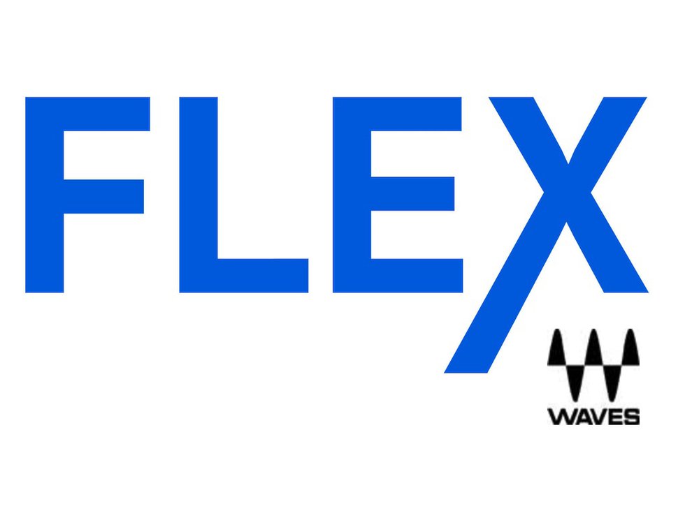 Waves Audio Flex logo .jpg