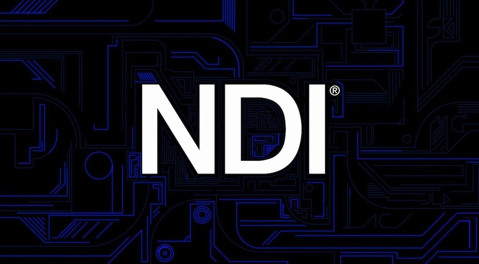 NDI logo .jpg
