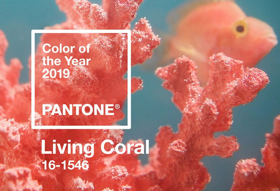 pantone-color-of-the-year-2019-living-coral-banner-mobile.jpg.jpe