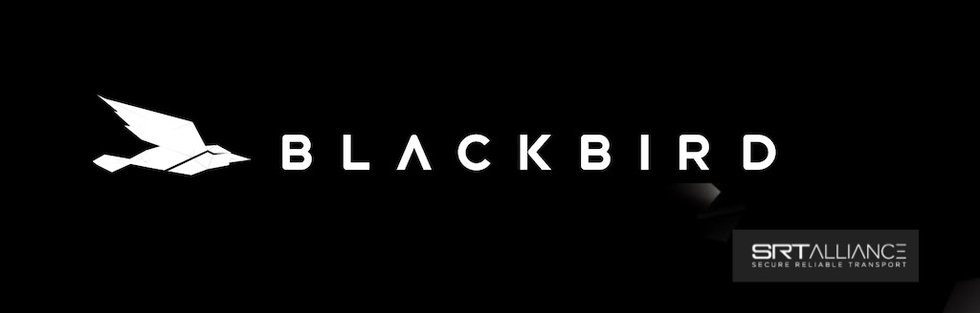 Blackbird logo .jpg