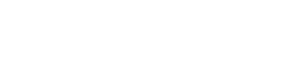 Videoguys logo