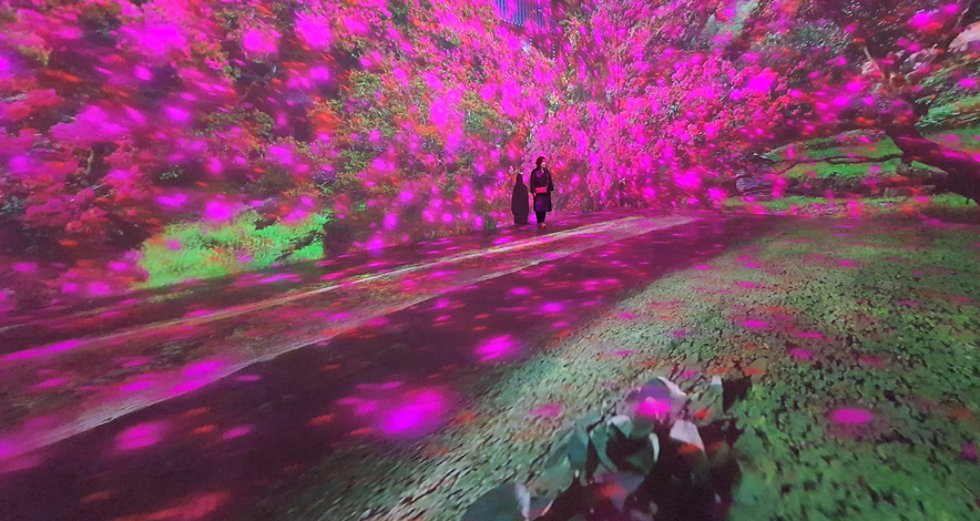pinkflower-immersive.jpg